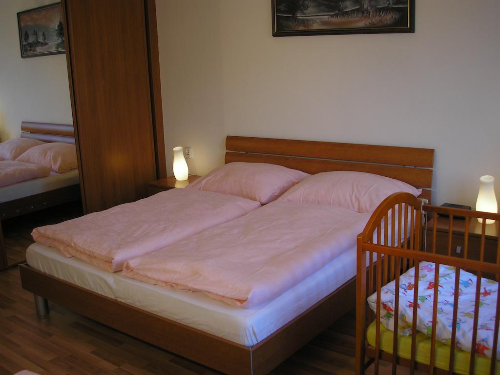 Apartment Accommodation Up To 17 布拉迪斯拉发 外观 照片