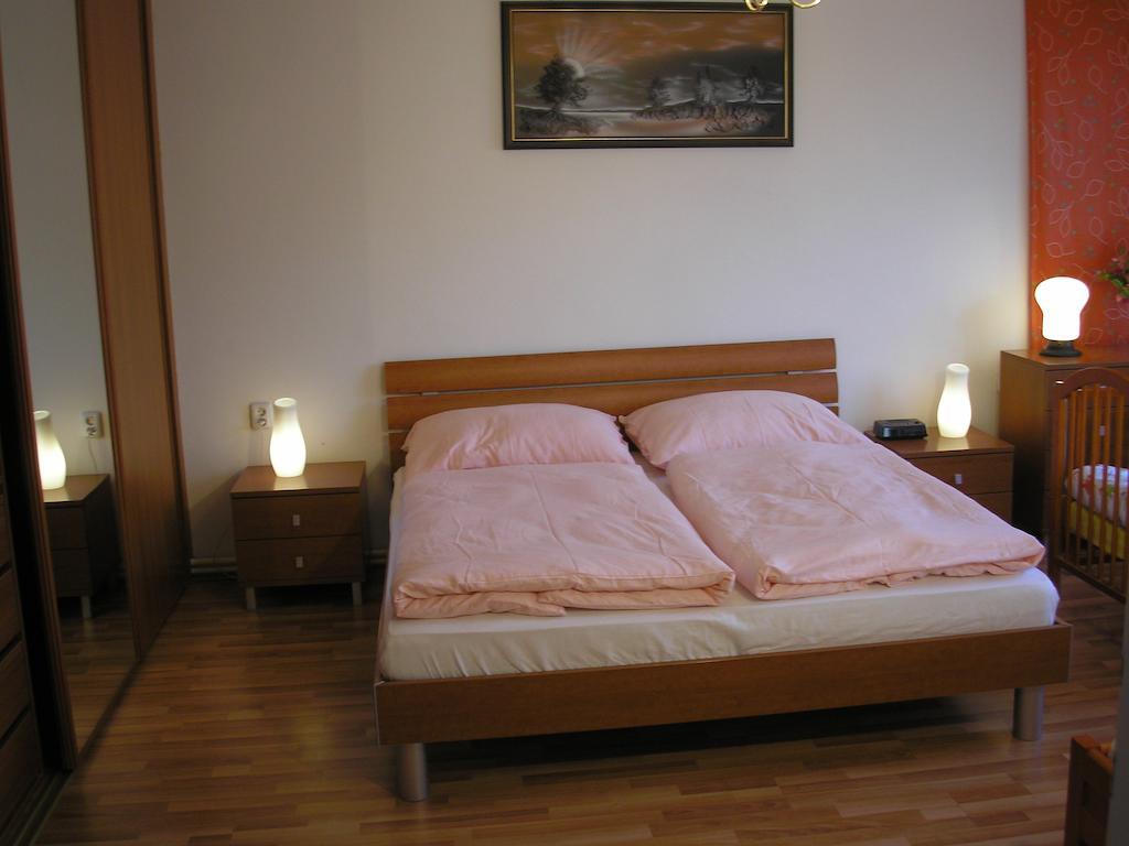 Apartment Accommodation Up To 17 布拉迪斯拉发 外观 照片